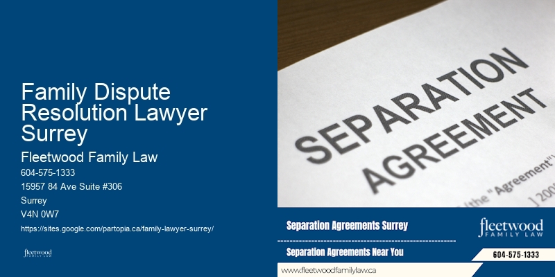 Family Dispute Resolution Lawyer Surrey