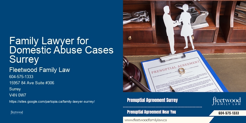 Family Lawyer Surry Hills