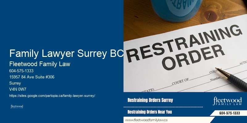 Family Law Appeals Lawyer Family Lawyer Surrey BC