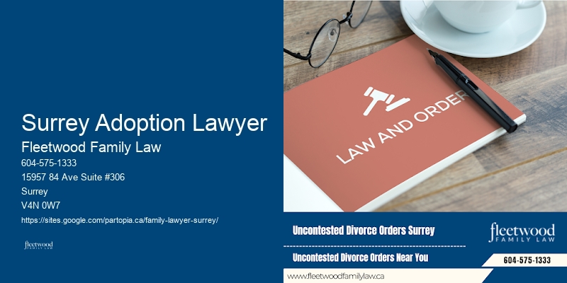 What Is A Family Lawyer Do