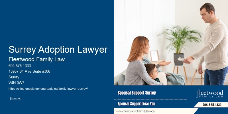Child Custody Advocate