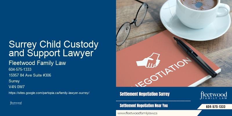Surrey Child Custody and Support Lawyer