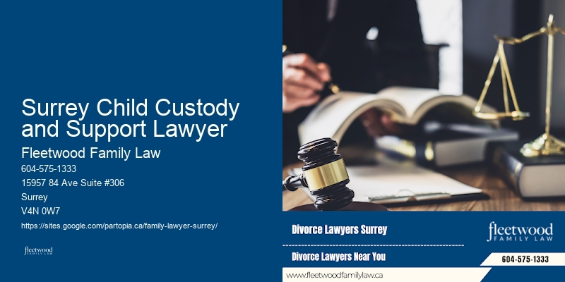 Surrey Child Custody and Support Lawyer Family Law and Estate Lawyer