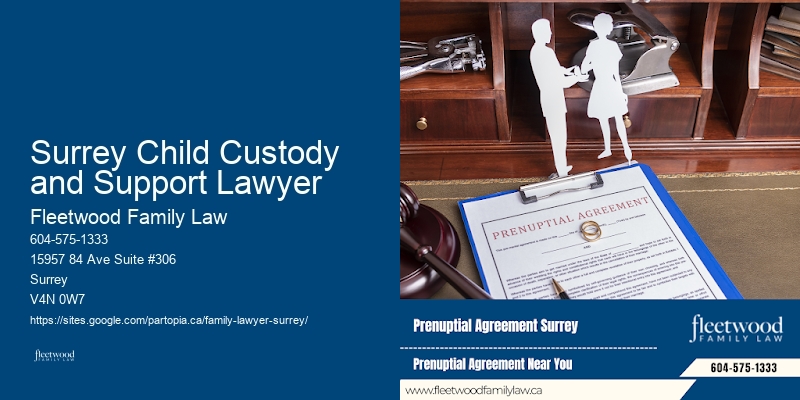 Family Mediation Surrey Child Custody and Support Lawyer