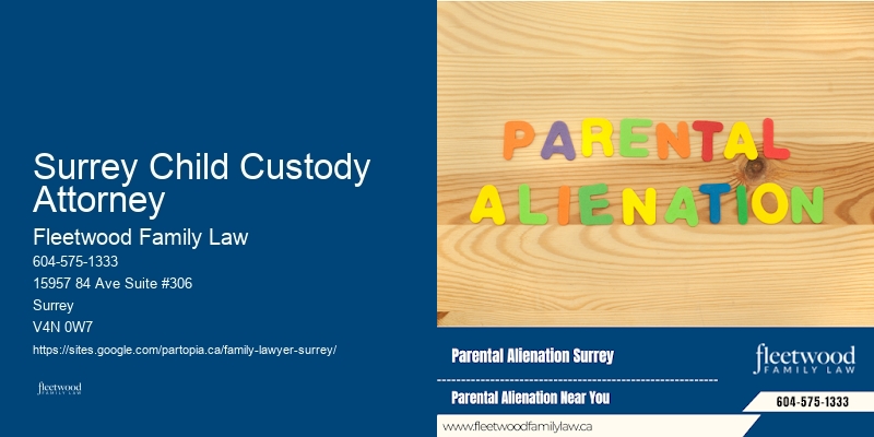 Expert Family Lawyer Surrey Child Custody Attorney