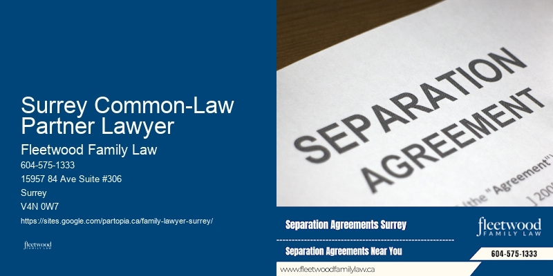 Surrey Common-Law Partner Lawyer