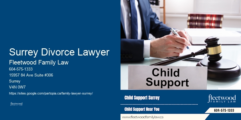 Seasoned Family Lawyer Surrey Divorce Lawyer