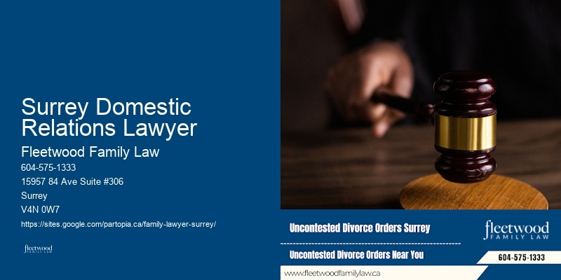 Surrey Domestic Relations Lawyer
