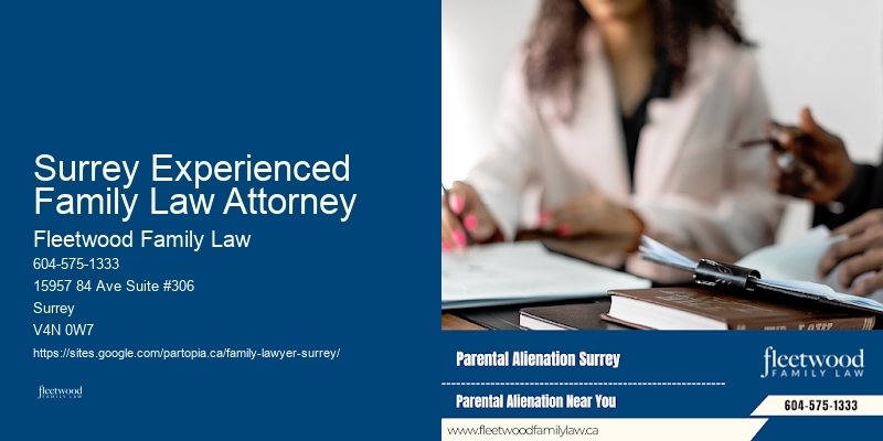 Family Lawyer Cost Tracking