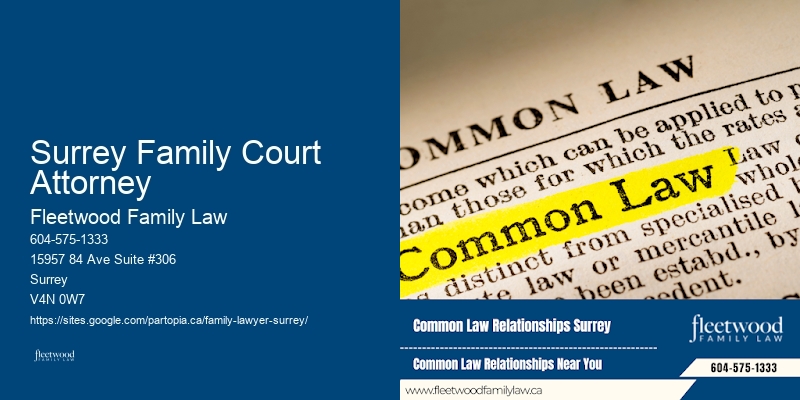 Family Lawyer Surrey Family Court Attorney Legal Consultation