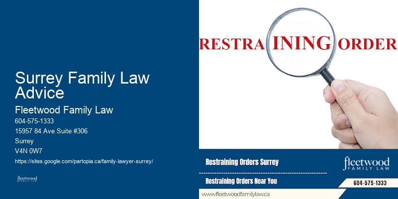 Child Custody Advocate