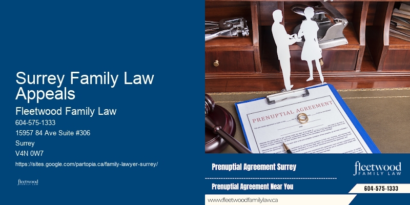 Family Lawyer Assistance And Expertise Surrey Family Law Appeals