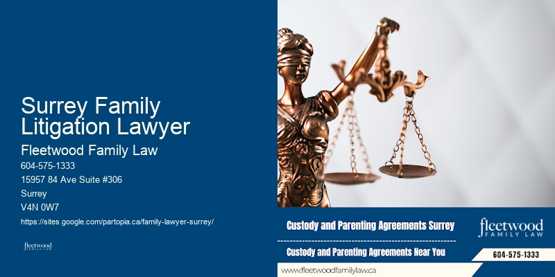 Family Lawyer Surrey Family Litigation Lawyer Child Custody