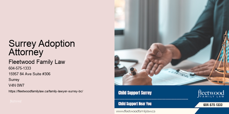 Surrey Adoption Attorney