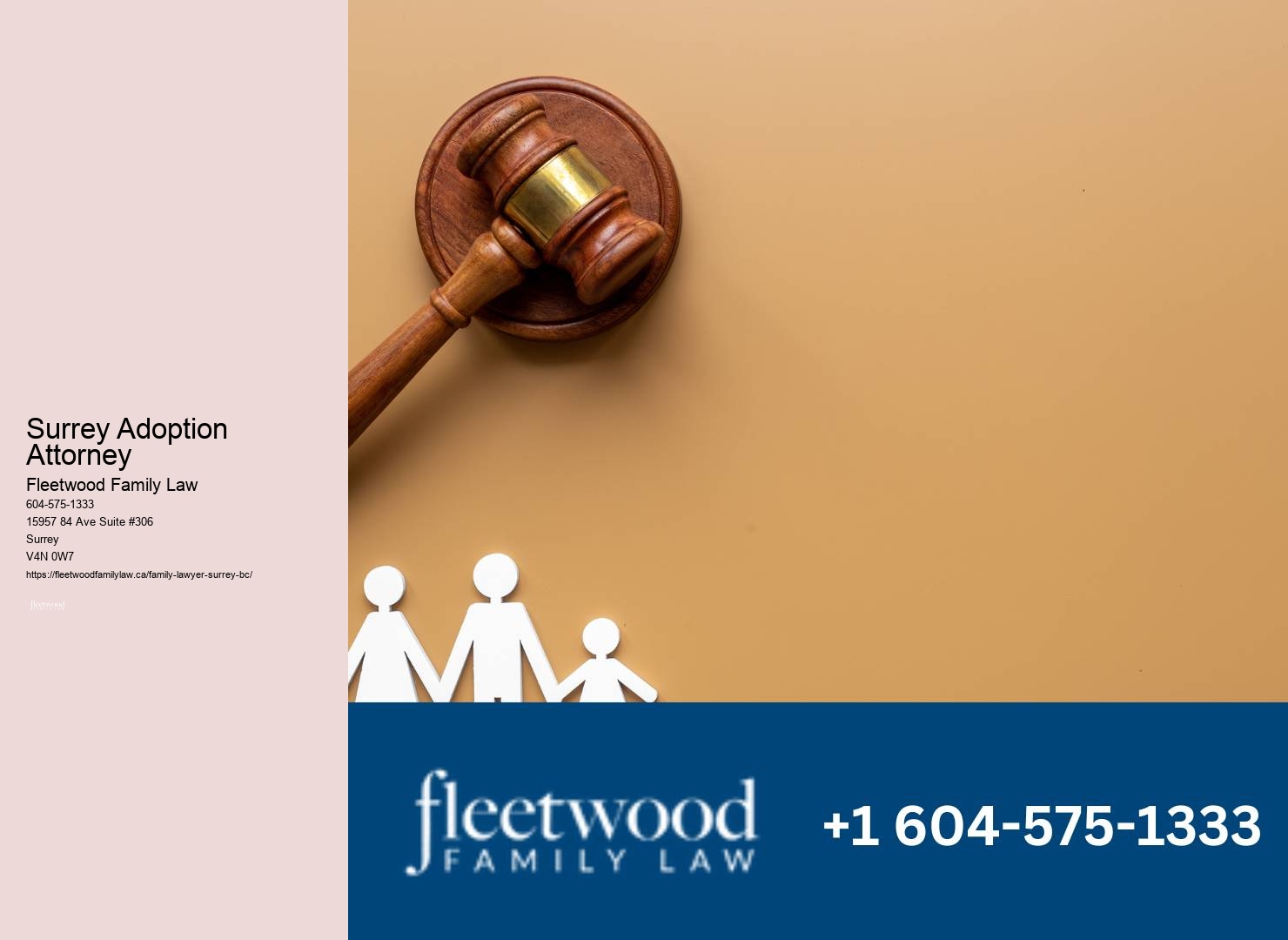 Surrey Adoption Attorney Divorce Lawyer Testimonials