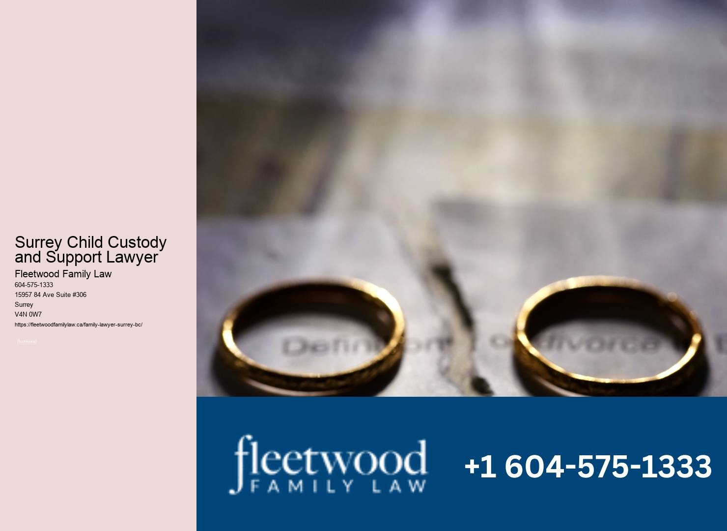 Surrey Child Custody and Support Lawyer Family Lawyer Consultation Free