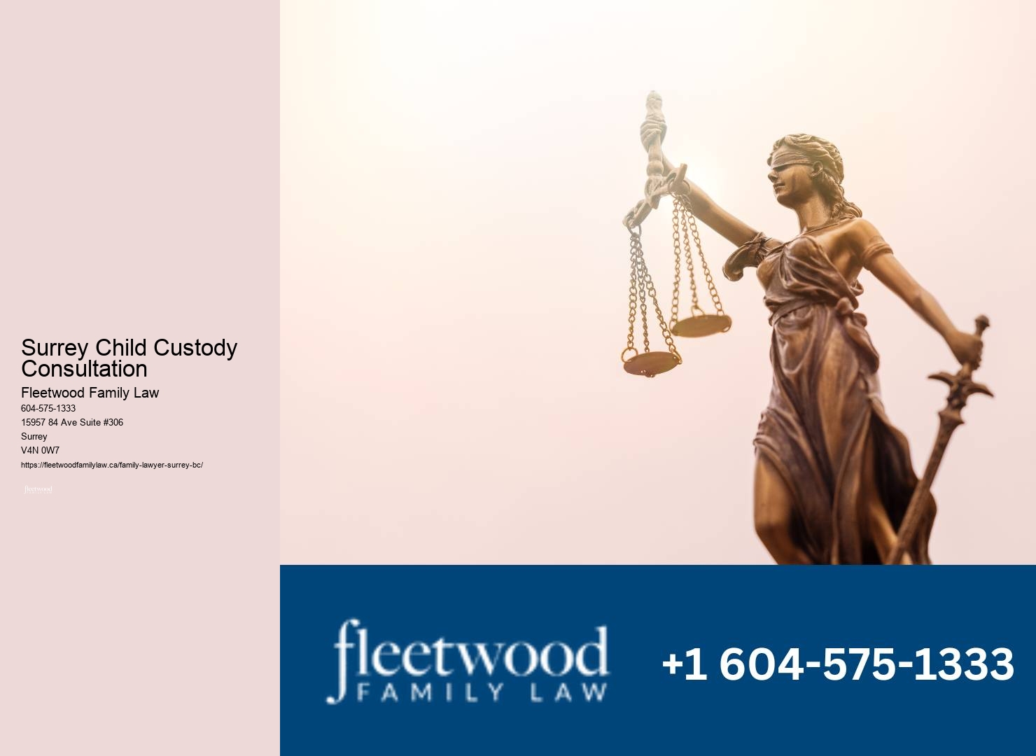 Surrey Child Custody Consultation Adoption Process Lawyer