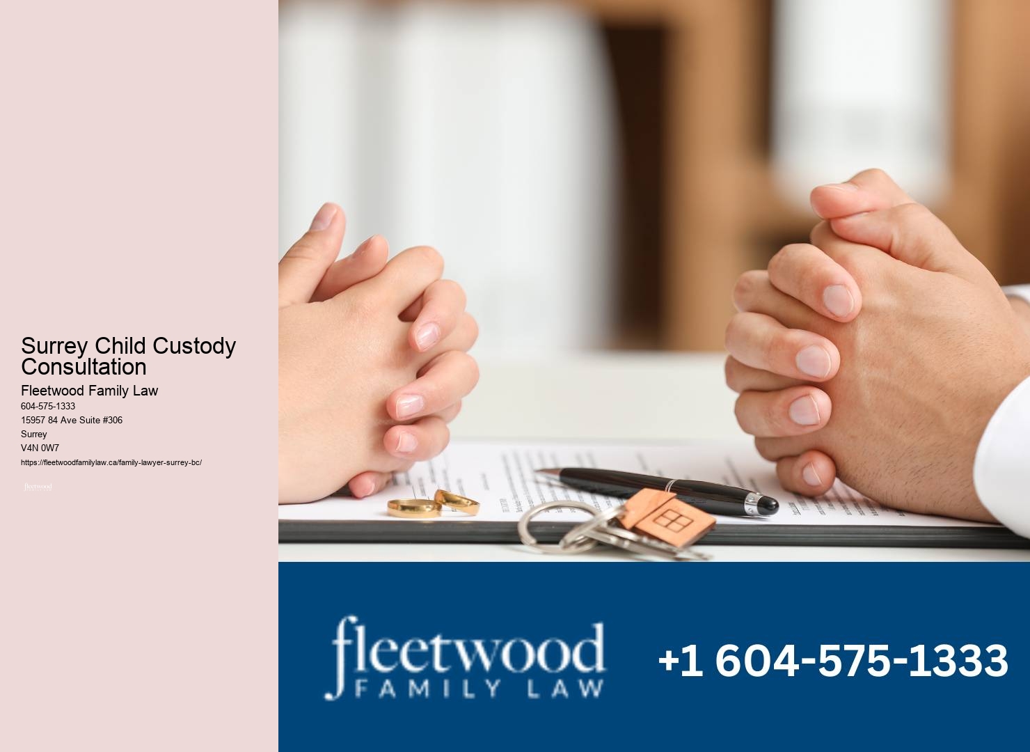 Expert Child Custody Lawyer Surrey Child Custody Consultation