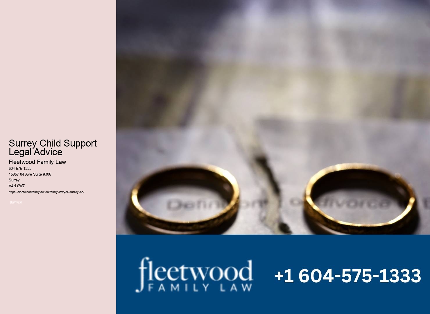 Surrey Child Support Legal Advice Domestic Violence Attorney