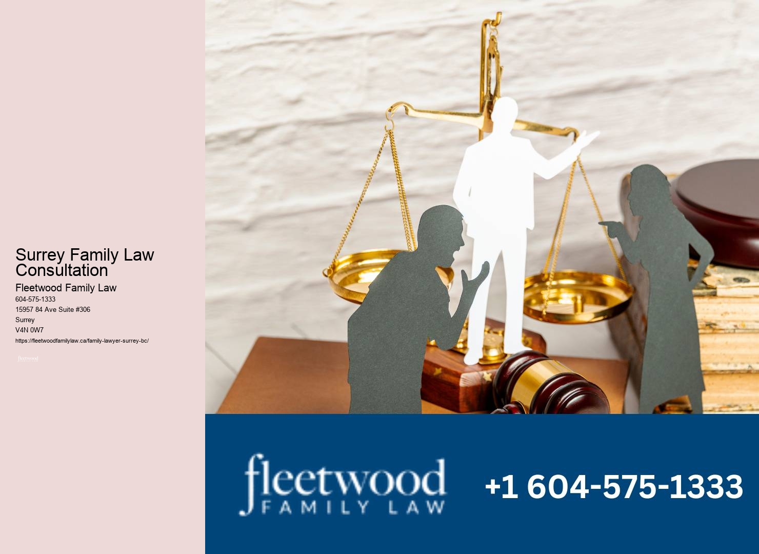 Surrey Family Law Consultation Custody Agreement Lawyer