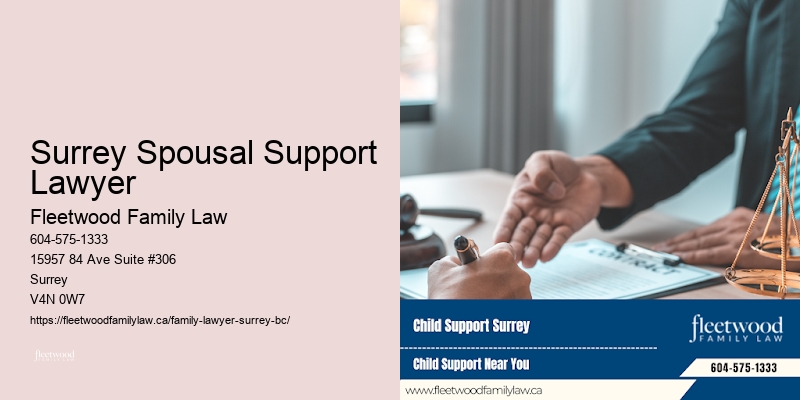 Surrey Spousal Support Lawyer
