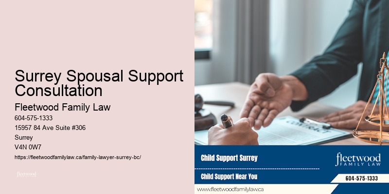 Surrey Spousal Support Consultation