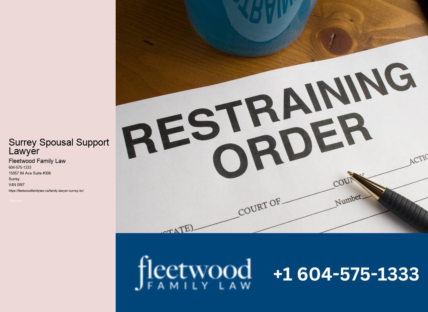 Surrey Spousal Support Lawyer Family Law Strategy