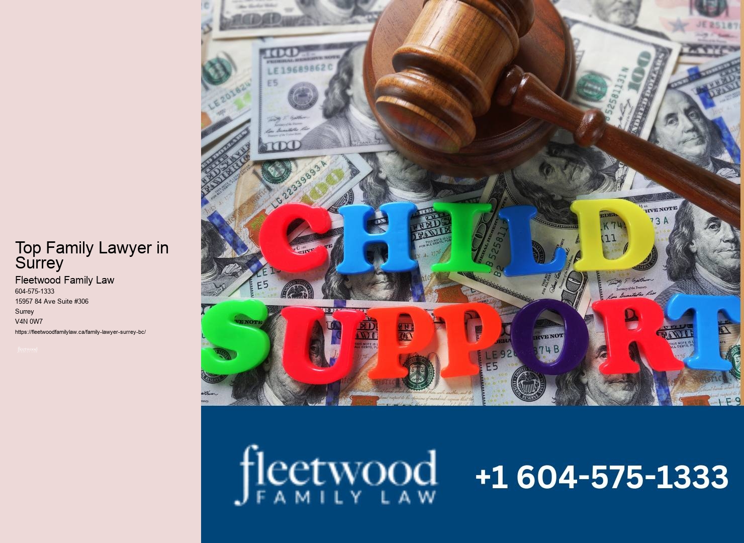 Top Family Lawyer in Surrey Mother's Rights Lawyer