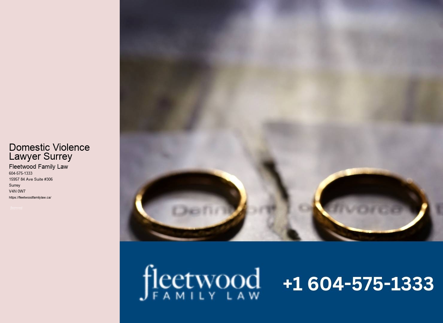 Professional Family Lawyer Domestic Violence Lawyer Surrey