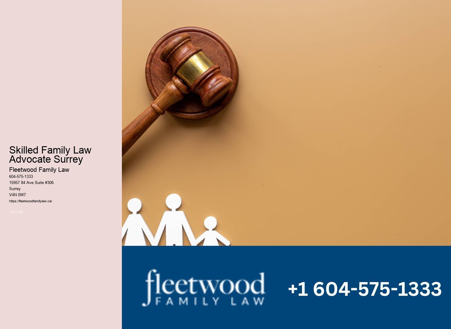 Best Child Support Lawyer Skilled Family Law Advocate Surrey