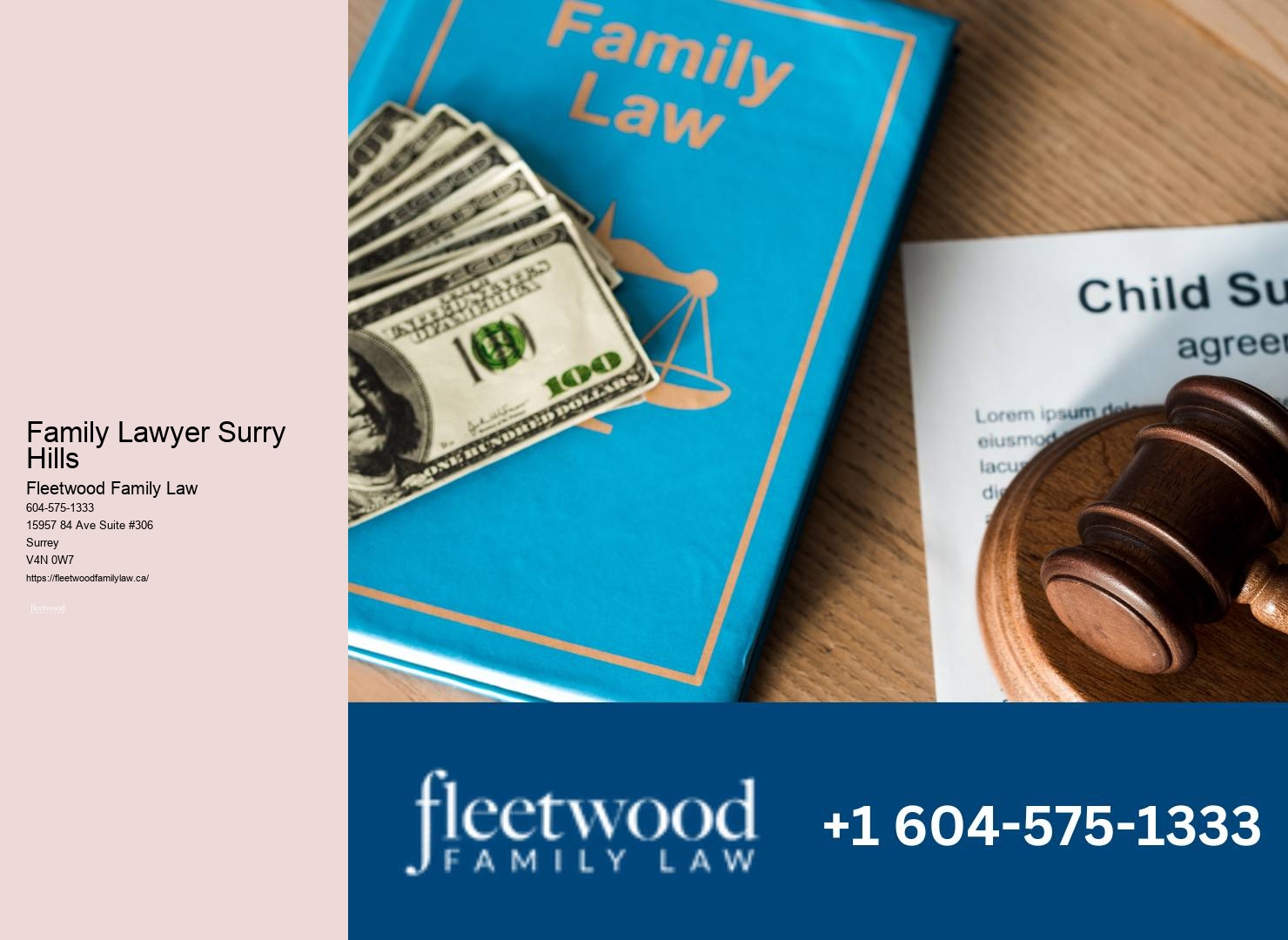 Family lawyer Surrey legal help